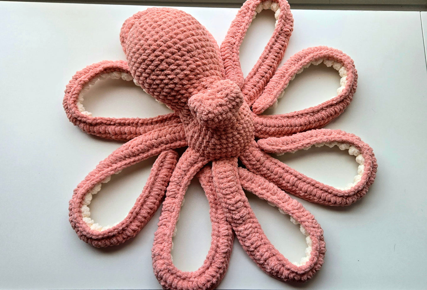 Giant Octopus
